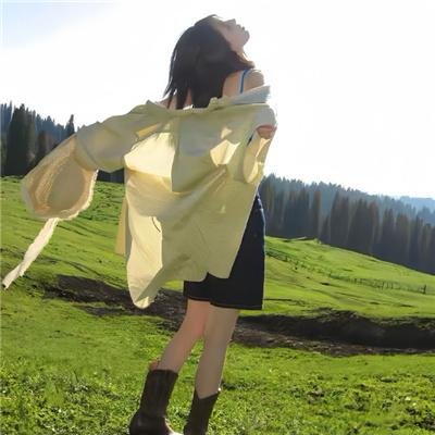 新冷血十三鹰